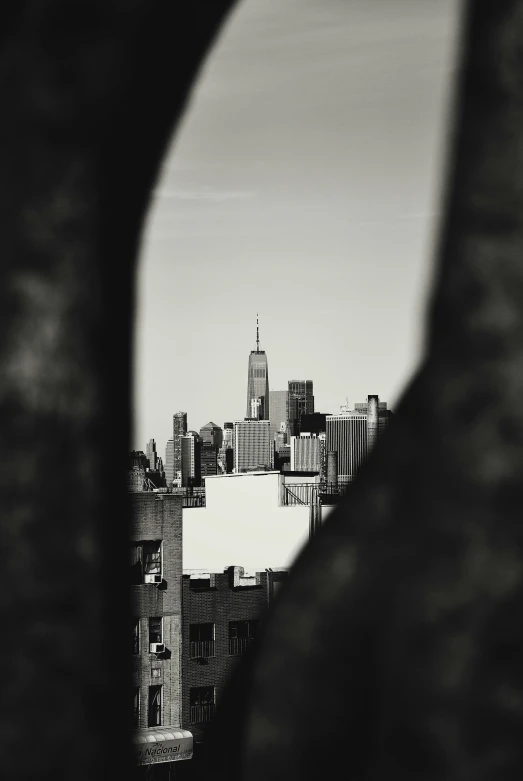 the back of a person's face as they stand on top of a hill