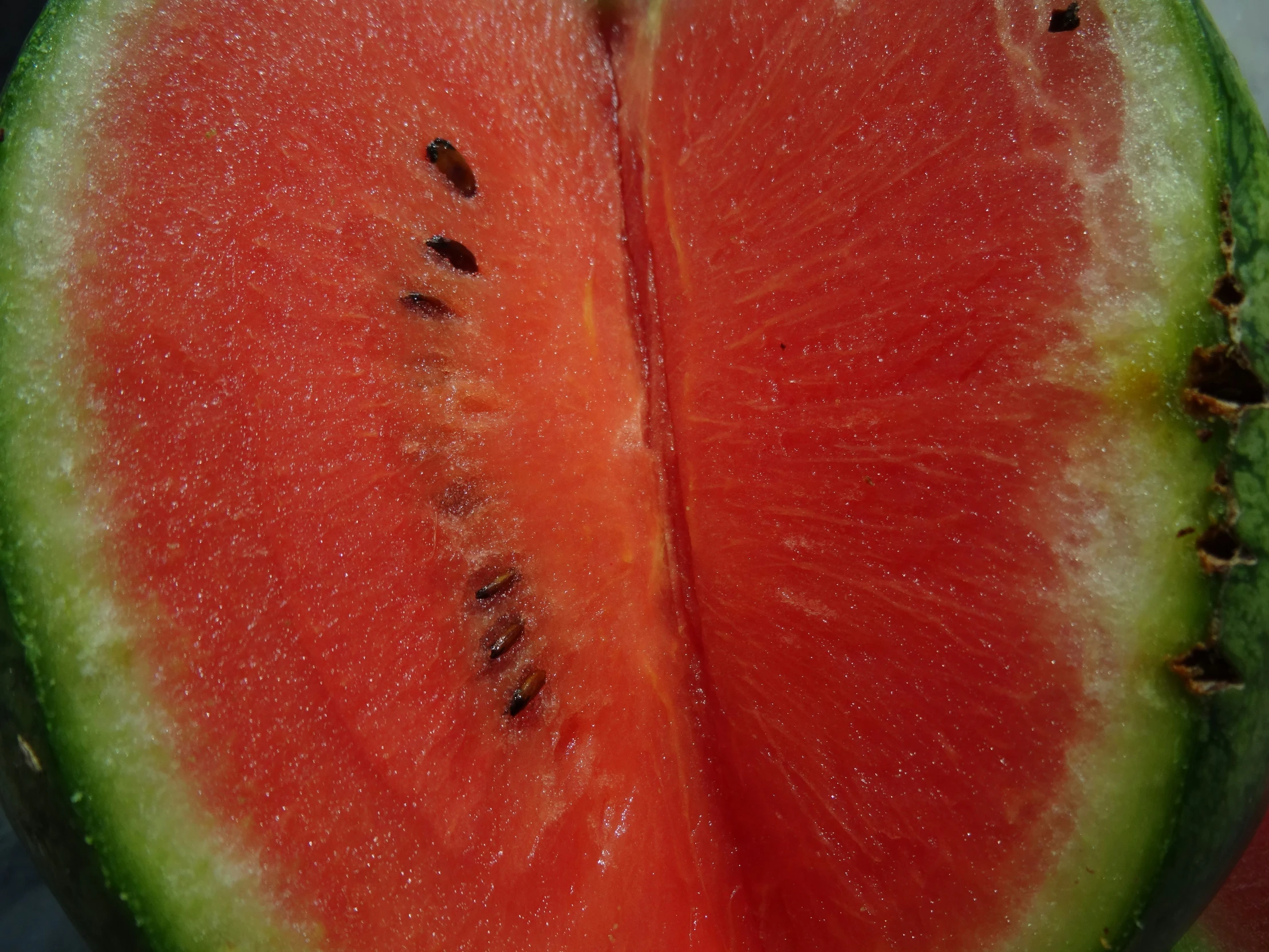 a slice of watermelon sits on top of another half