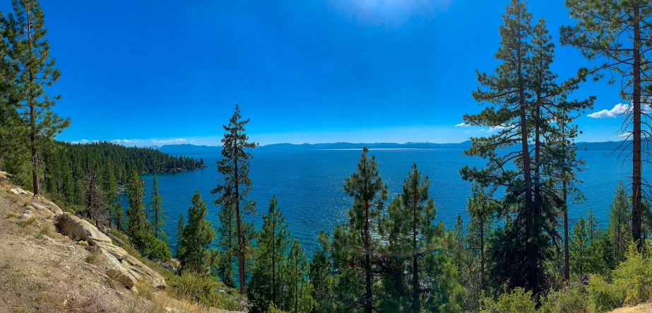 an area of water surrounded by trees with the sun shining on it