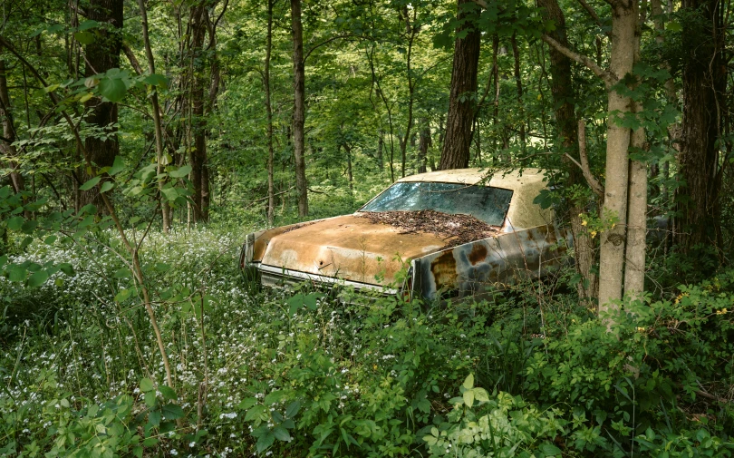 an old car sits abandoned in a forest