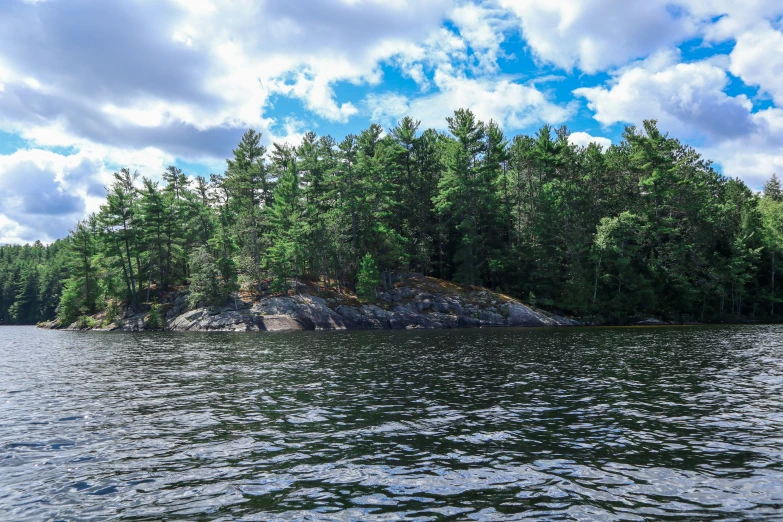 a forested shore line, in the foreground is the ocean