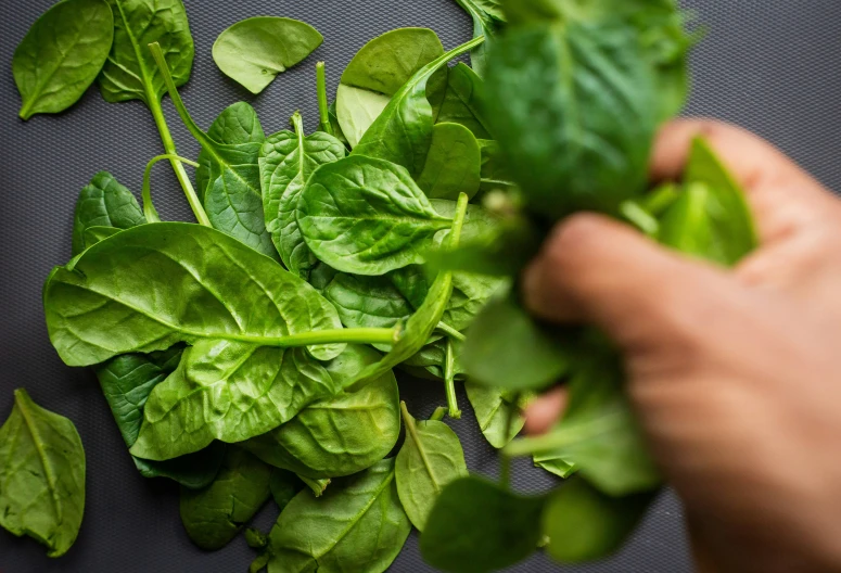 a person holding up lettuce leaves on top of a table