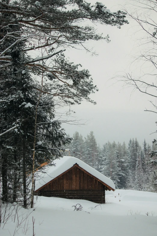 a small wooden cabin in the middle of the snow