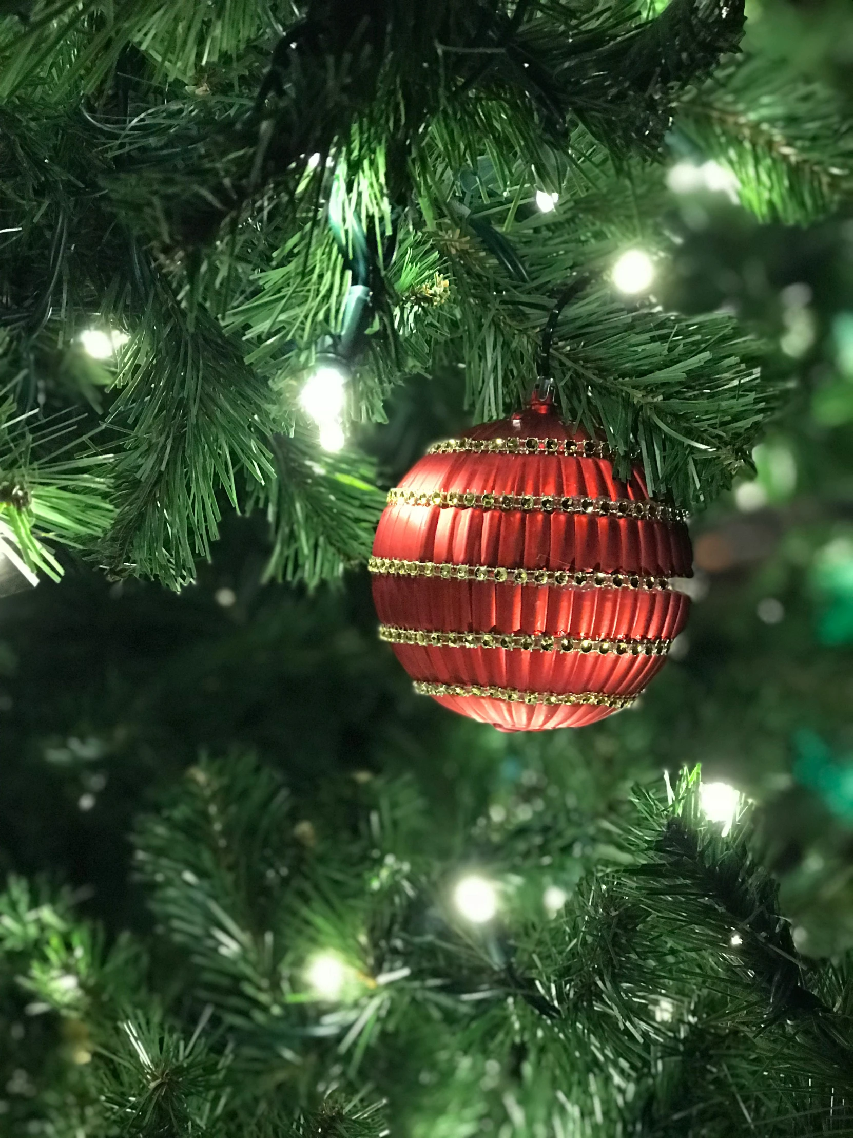 an ornament hangs from a tree