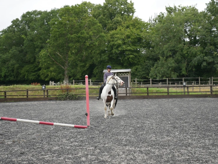 a woman riding on the back of a horse