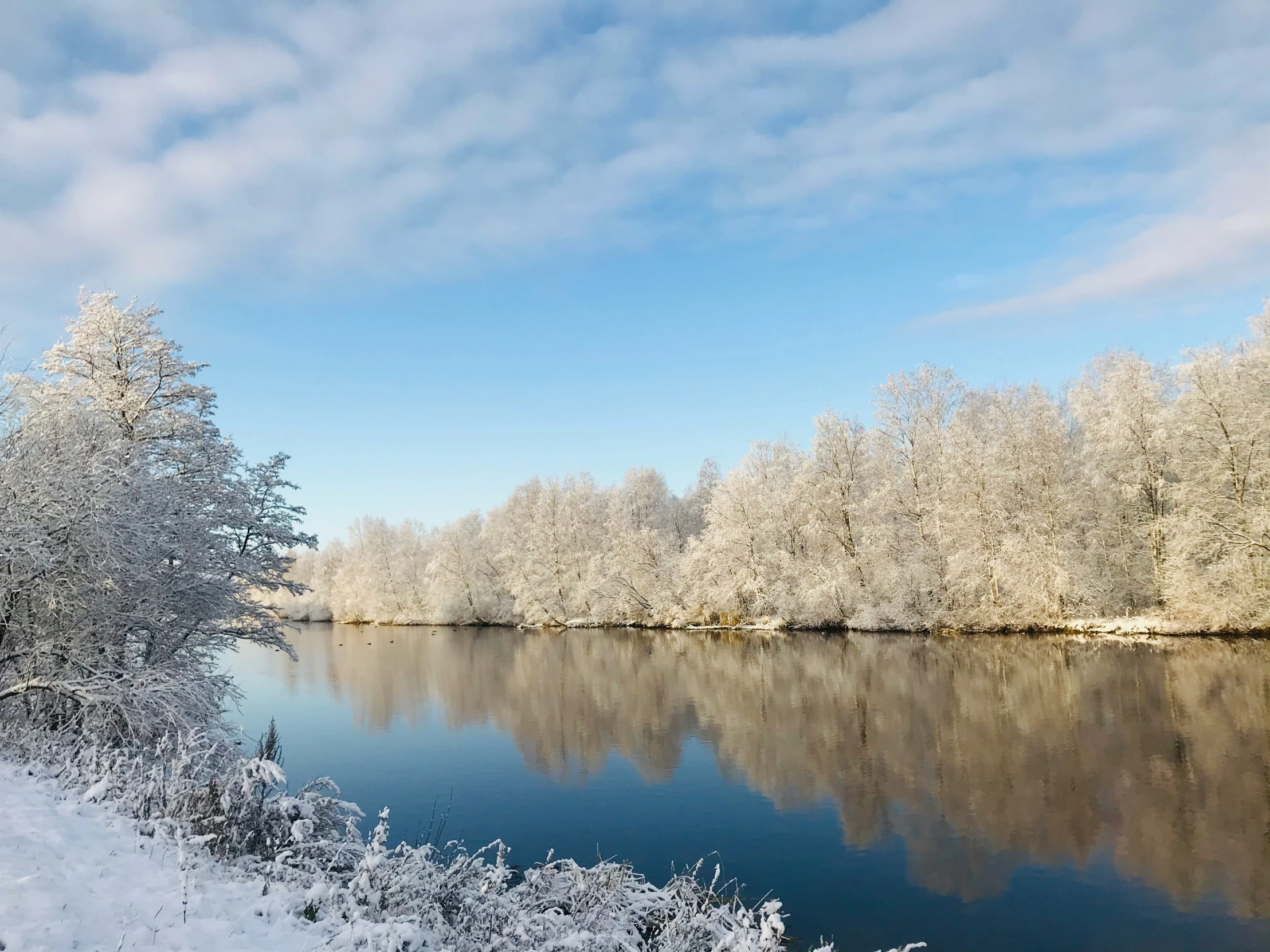 the body of water in winter is surrounded by trees