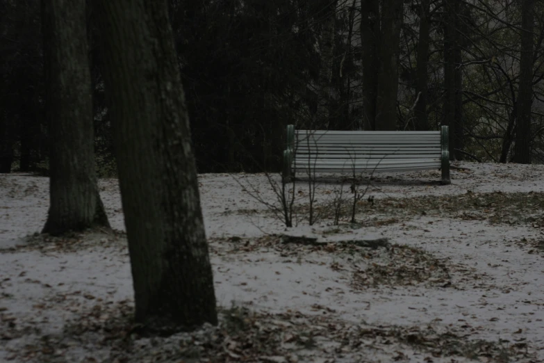 a bench is in the middle of the woods