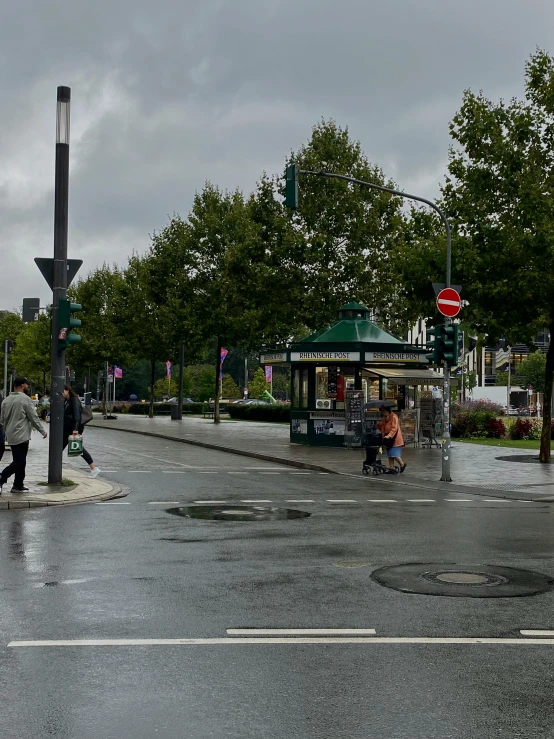 people walking across a wet, tree - lined road