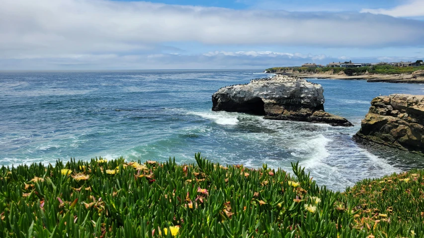 the ocean, rocks and grass have been separated by rocky shore