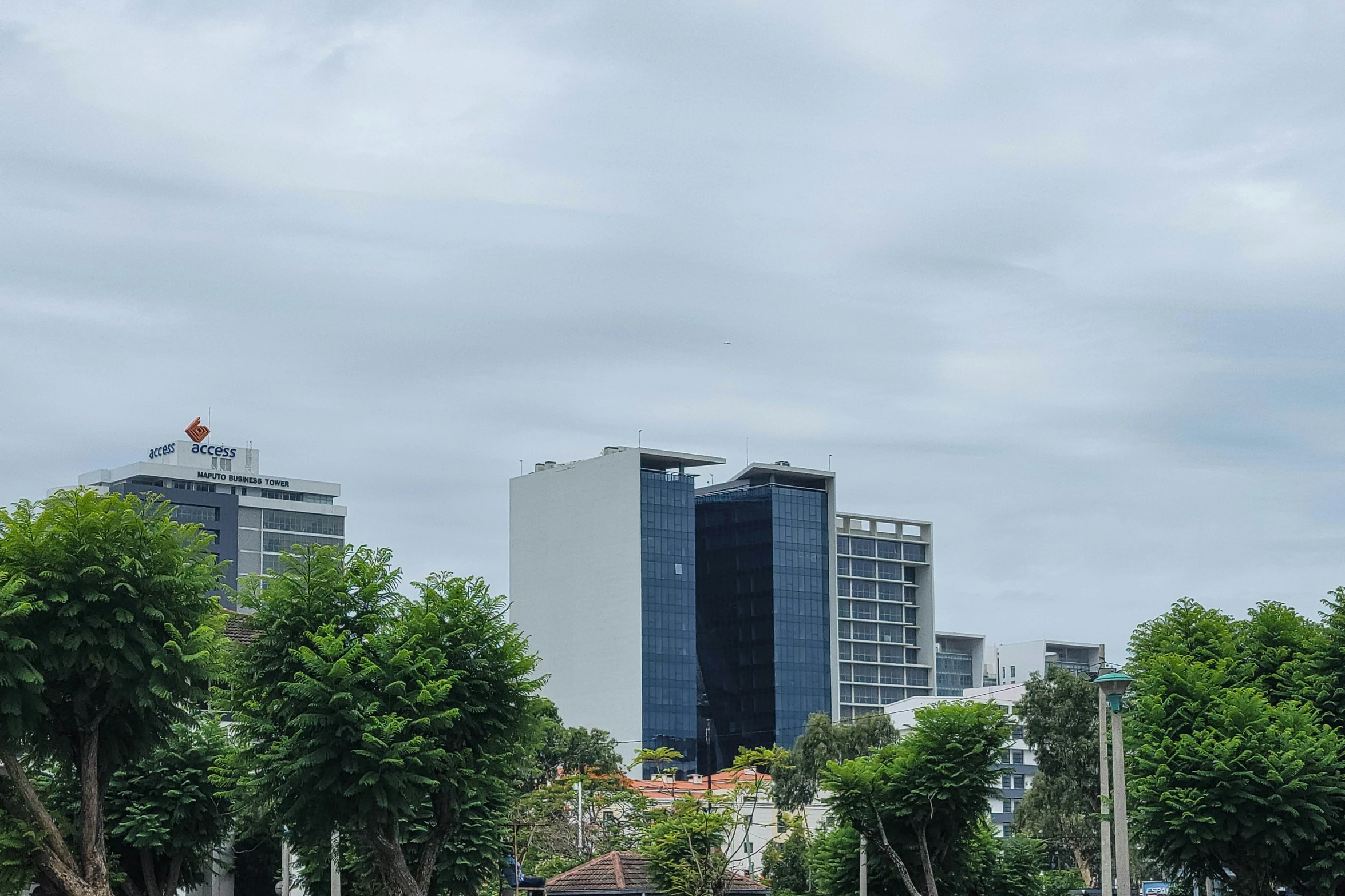 a row of trees line a waterway leading to a large building in the distance