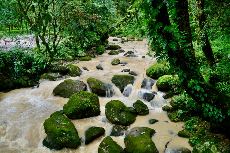 many large rocks and trees are beside a stream