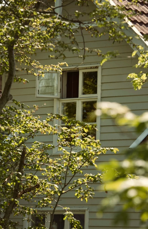 an empty birdhouse with two windows sits next to green leaves