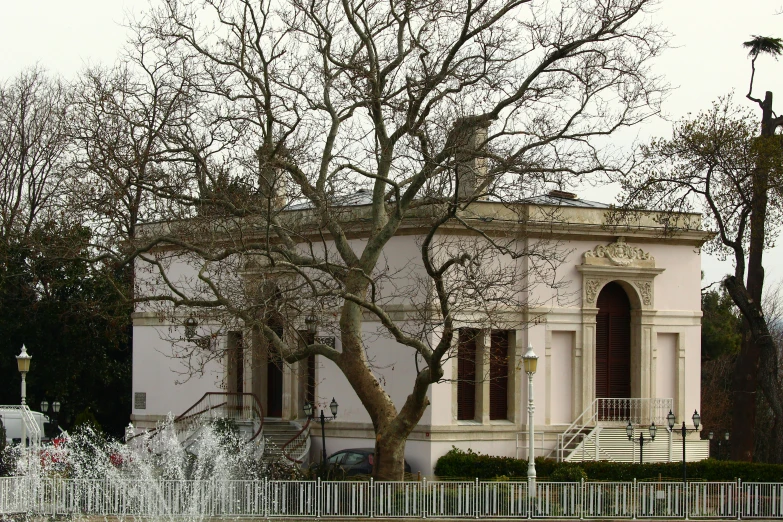 a white house with tree in front of it
