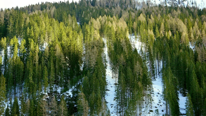 a man riding a snowboard down a ski slope