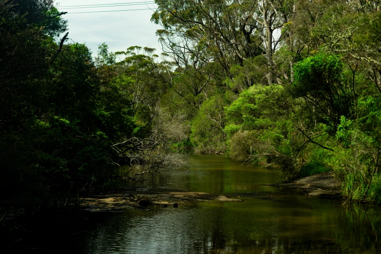 a very long stream of water with trees on either side