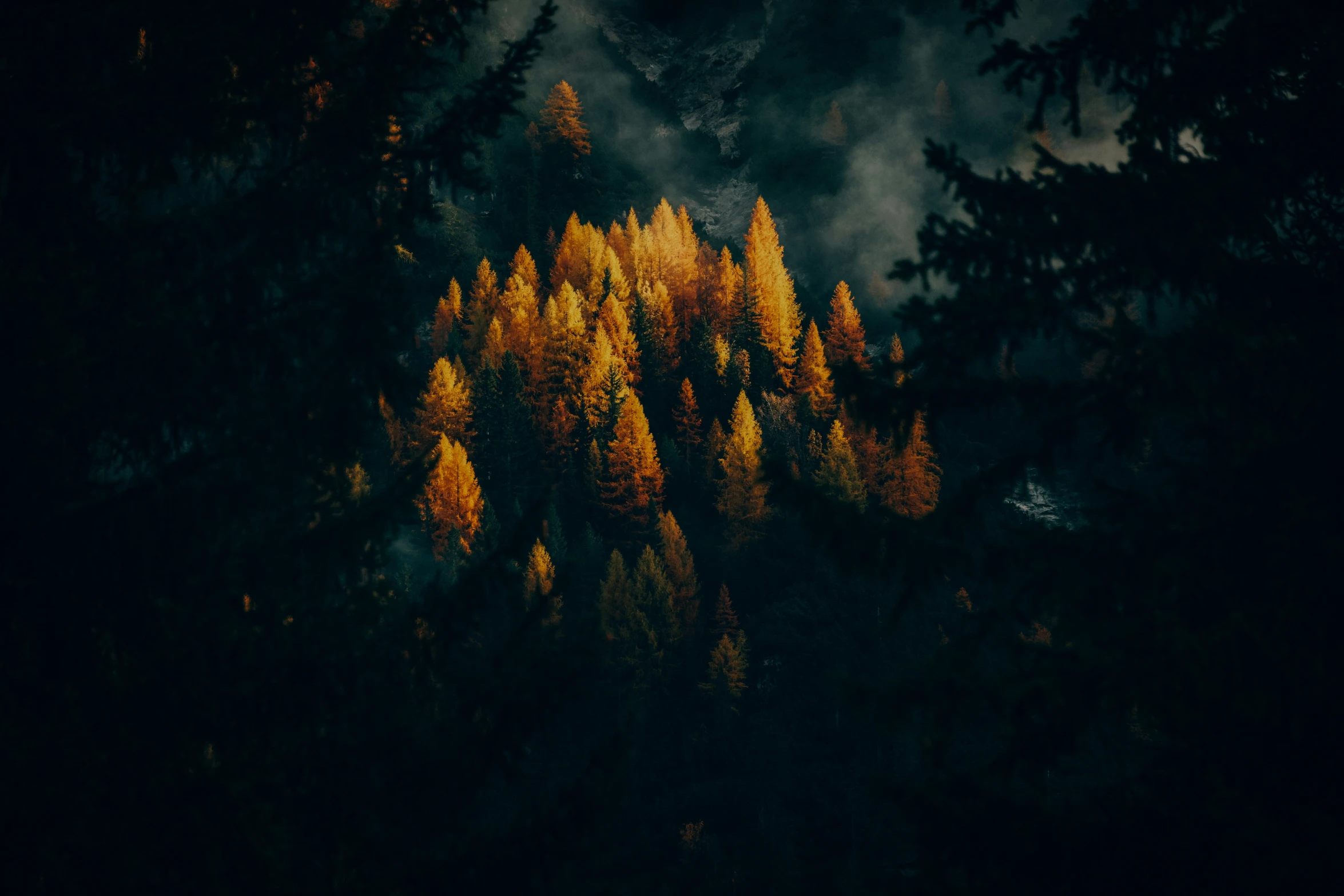 a dark and mysterious scene with yellow trees