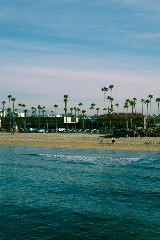 a beautiful view of a beach with palm trees