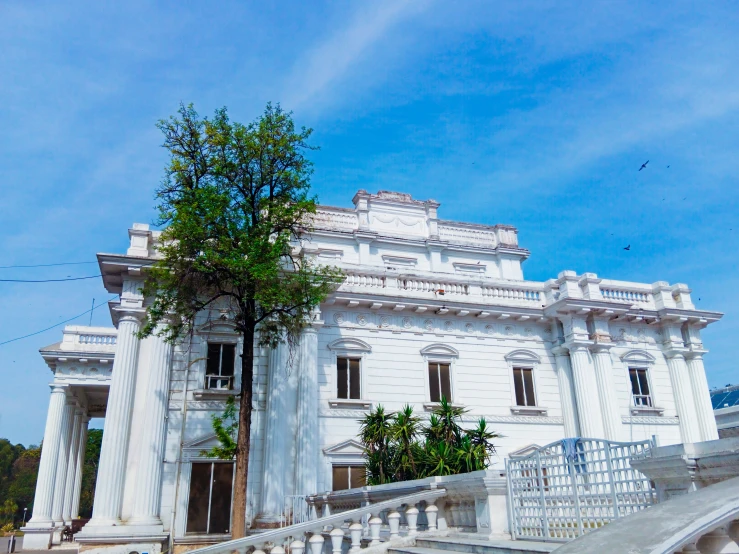 white building with green tree growing over the stairs