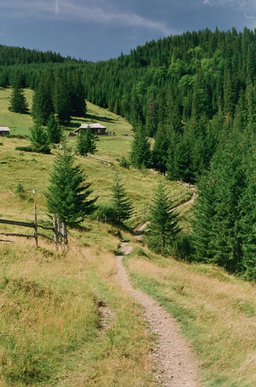 a path leads up to a cabin on a hilly mountain