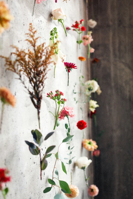 a bunch of different colored flowers on a wall