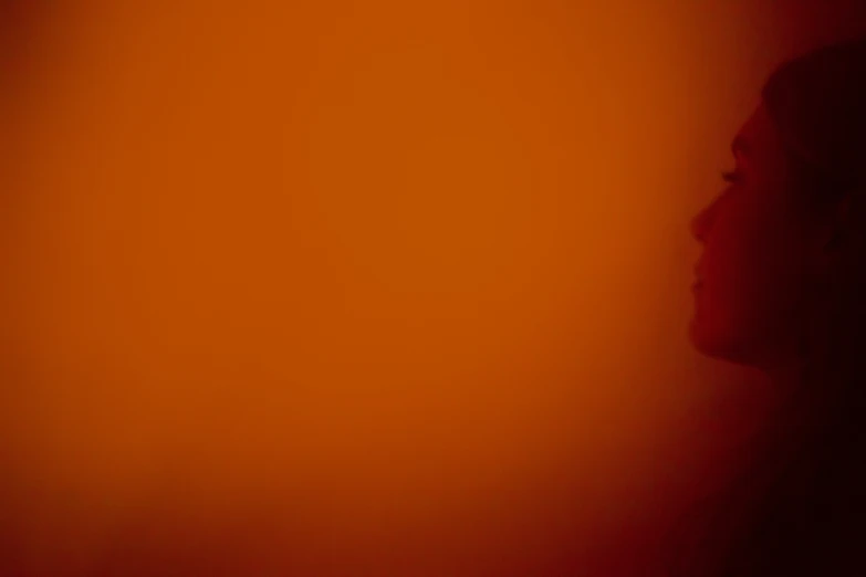 a silhouetted person is looking off into the distance in an orange glow