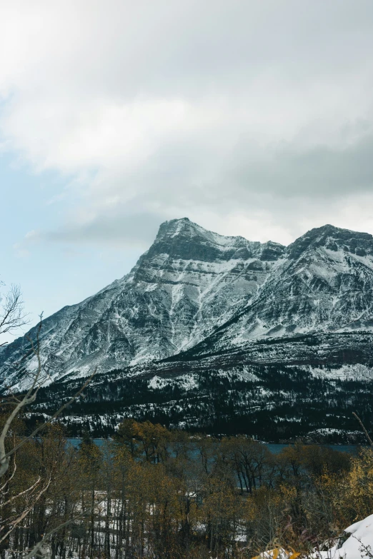 a snow covered mountain side with trees