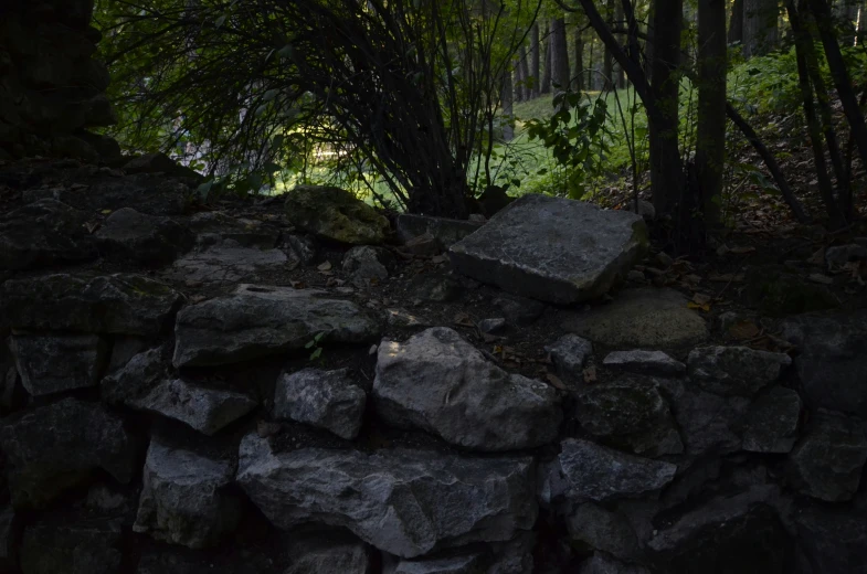 the dark forest is full of very large rocks