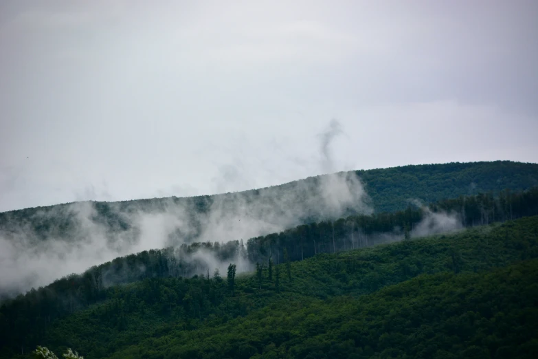 a hill covered with low lying clouds with green trees below