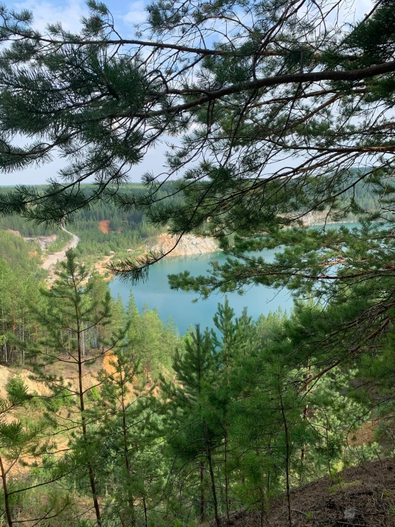 a lake sitting between several green trees near a forest