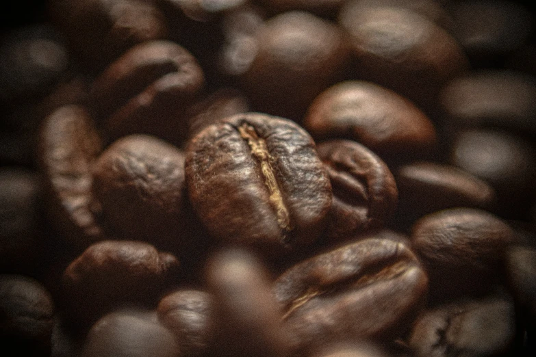 some coffee beans and a piece of soing brown