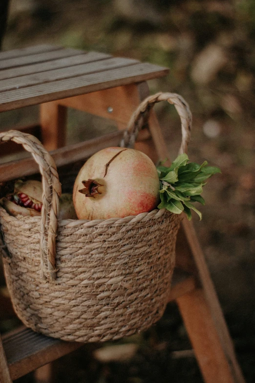 a basket that has two apples in it