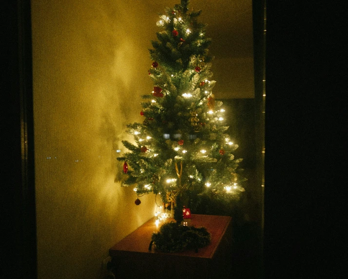 a lit up tree stands in the corner by a wall