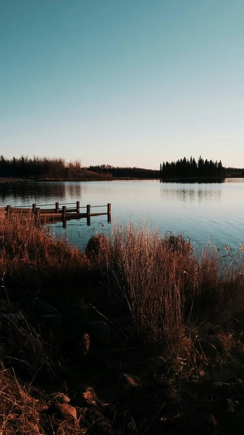 the water is still blue as it sits on the edge of the grass