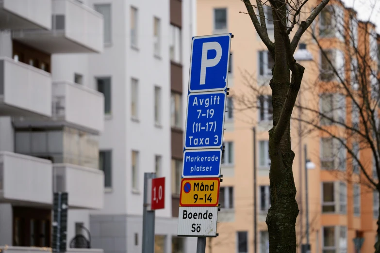 a blue sign is posted near the side of a street