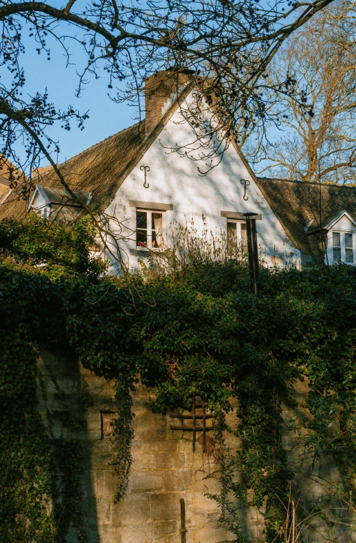 a house covered in ivy with white walls