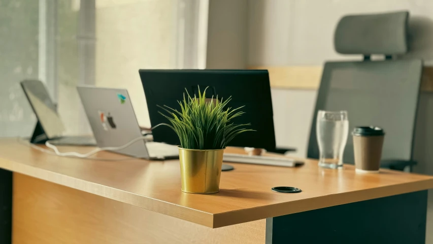 a desk with computer, laptop, cellphone and potted plant