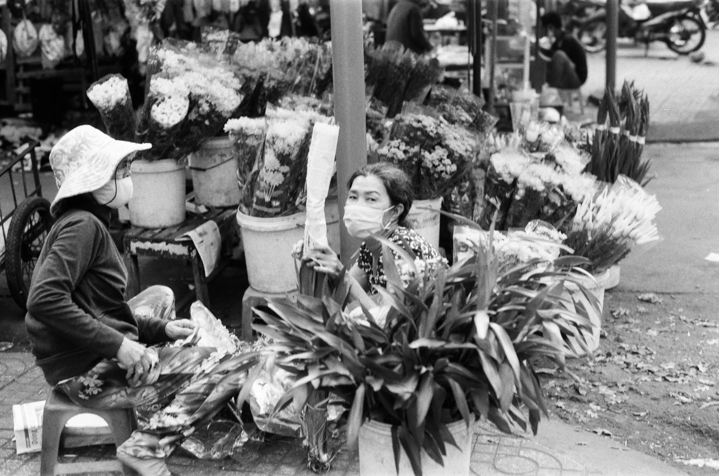 two women are looking at some plants in the market