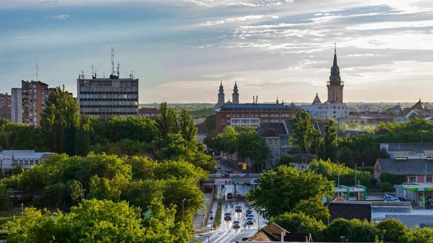 a city that has trees and buildings in it