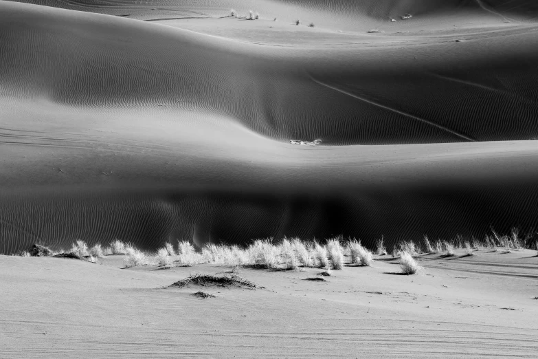 the pattern in the sand made this image look like waves