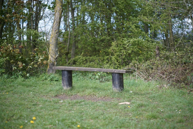 a bench sitting alone in a park next to a tree