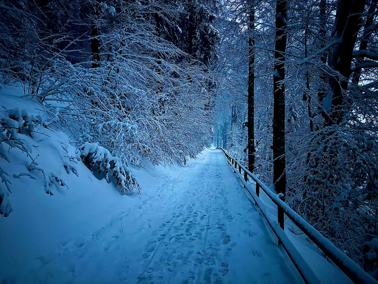 a path is lit up at night in the snow