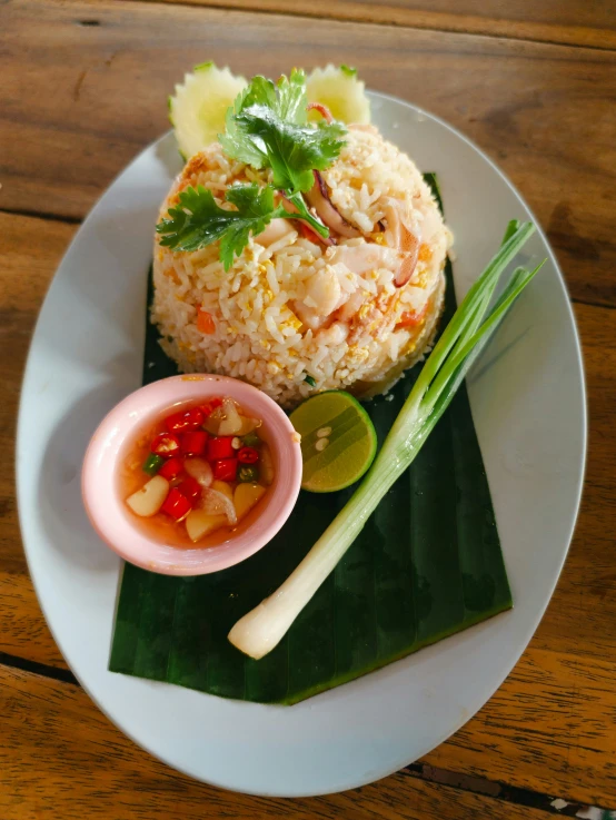 rice with sauce and vegetables on a white plate