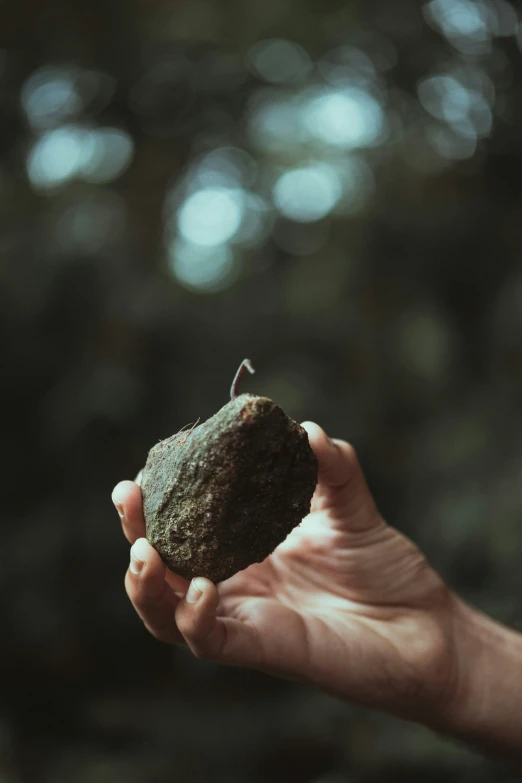a hand is holding a rock in the middle of the forest