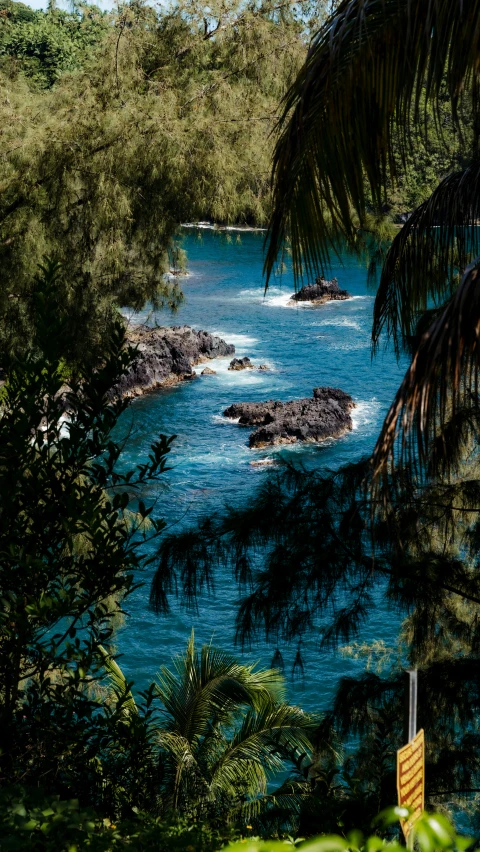 the ocean is crystal blue and surrounded by dense vegetation