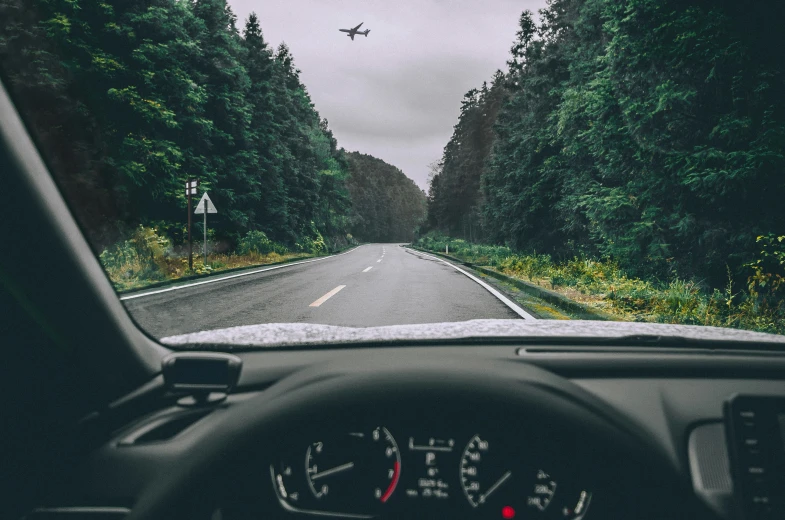 a view from inside the vehicle looking into a forest