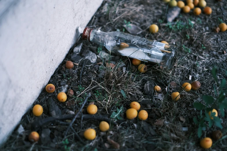 a bottle on the ground surrounded by fruit