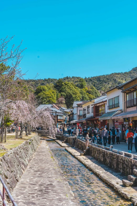 a small group of people walking along a street