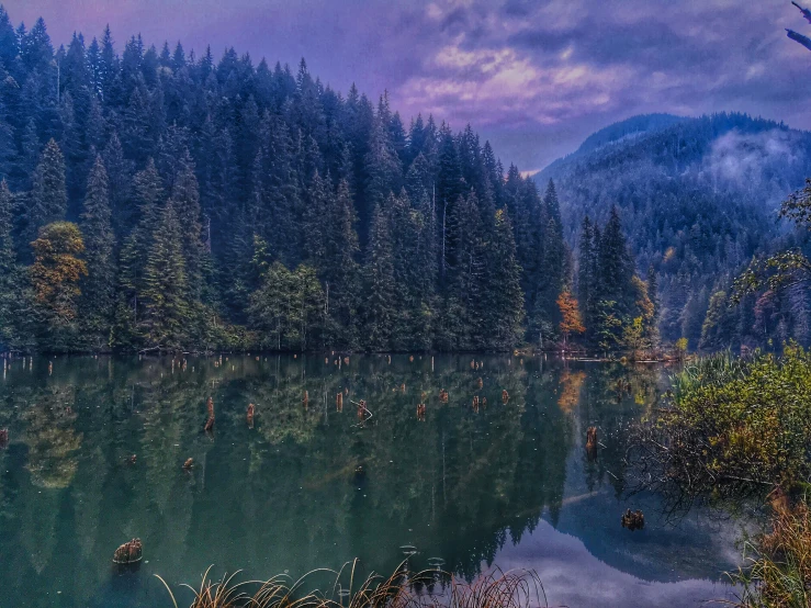 a body of water surrounded by forest and mountains