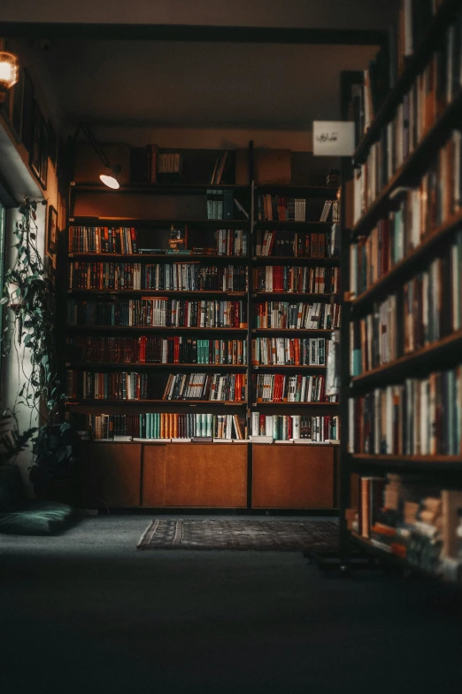 a book shelf with a number of books in it