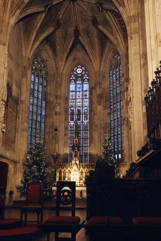 a church filled with very large windows filled with christmas trees